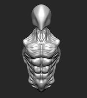 3d body