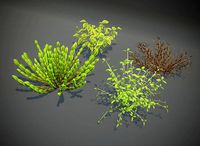 Cartoon Savanna Bushes and Shrubs 3D Model