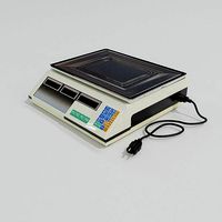 Electronic scale