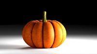 3d model of a pumpkin