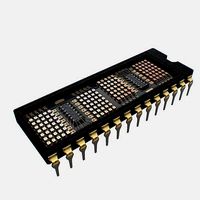 Microchip