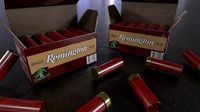 Box of bullet  of 12