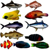 Coral Fish Pack 1