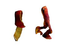 Apple peel and Peach peel