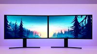 DUAL MONITOR