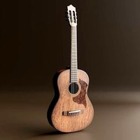 Guitar Acoustic Realistic brown