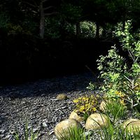 Stream Path