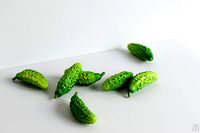 Cucumber 005