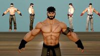 Ryu Fortnite Skin T-Pose RIGGING
