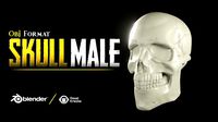 Skull Male OBJ