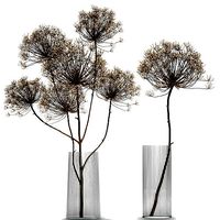 Bouquet of dried flowers in a glass vase 158