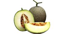 Melon Collection