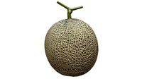 Melon
