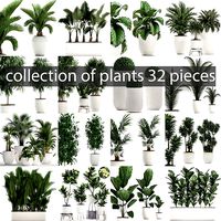 Collection of plants 32 pieces