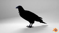 Raven