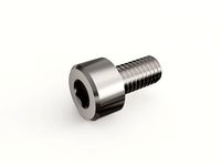 Screw 20