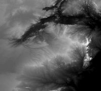 Zimbabwe High resolution 14k displacement heightmap and geometr