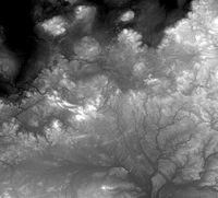 Belarus High resolution 10k displacement heightmap and geometr