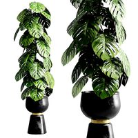 Indoor outdoor plant 109 pot palnt monstera metal dirt