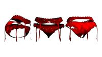 Valentines Garter Belt with Panties