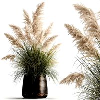 White Reeds in a rusty Flowerpot for the interior 1032