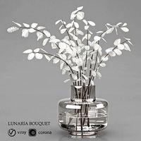 lunaria bouquet 9