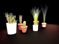 photo realistic 3d plants