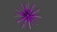 Sea Urchin