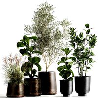 Houseplants in a flowerpot for the interior 1029