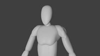 THE HUMAN BODY