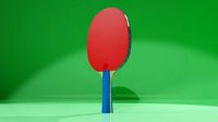 Paleta de ping pong