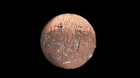wood metaria