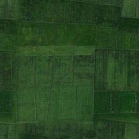 Seamless Farmland Terrai