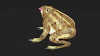 toad 3d