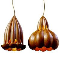 Laszlo Tompa Flower pendant light