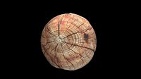 wood metaria