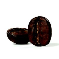 POLYPASTA - Coffeebean 02