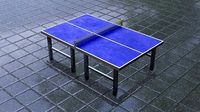 Table Tenis