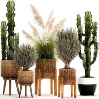 Ornamental plants in rattan baskets 1082