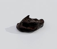 Feces