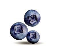Blueberry