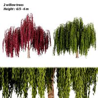 collection willow trees vol 23
