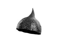 Foil Hat