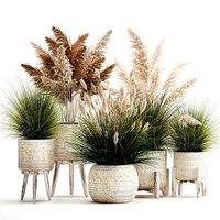 Ornamental plants in white rattan baskets 1080