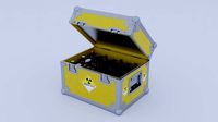 PLUTONIUM CASE BTTF