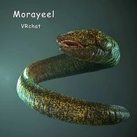 Morayeel