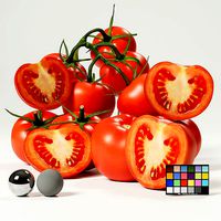 Tomato