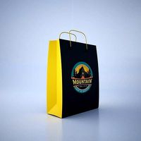 Shopping Bag