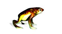 CANE TOAD