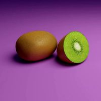 Kiwi Fruit Model Set